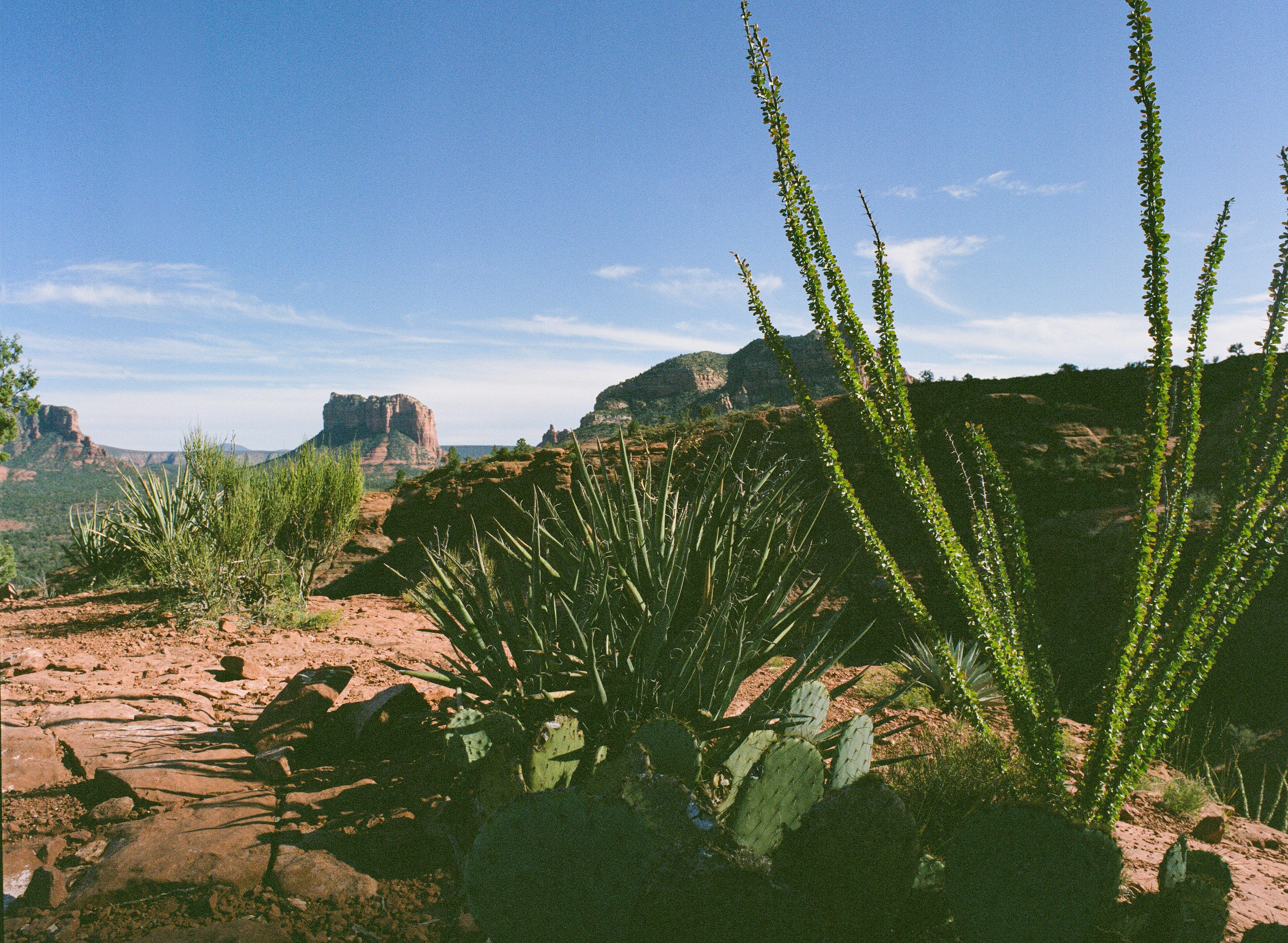 Sedona Arizona Cathedral Hike Landscape Shot on Bronica ETRS with Kodak Portra 400